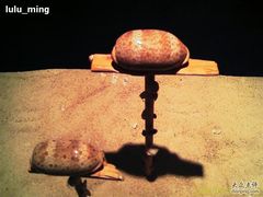 -亚龙湾中心广场·贝壳馆