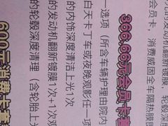 -枫花园汽车电影院(朝阳公园店)