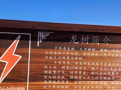 -红土地风景区