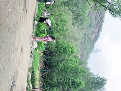 -白水寺森林公园