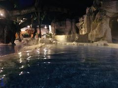 -中铁花水湾温泉酒店(大邑店)