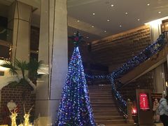 -西安赛瑞喜来登大酒店