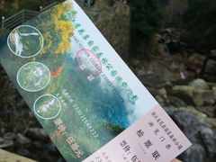 -花岩国家森林公园