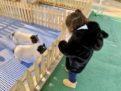 -萌宠亲子动物乐园(槐房万达店)