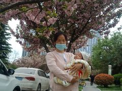 -金贝儿月嫂(高新尚品国际店)