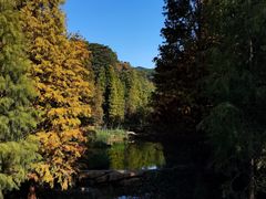 -云溪植物园