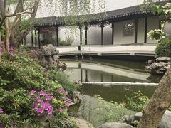 -秋霞圃