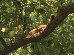 -西湖外事游船(湖滨二公园外事游船码头)