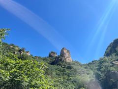 -大岭沟猕猴桃谷风景区
