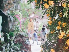 -正佳雨林生态植物园