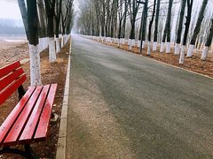 -东郊湿地公园