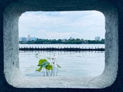 -济南大明湖景区