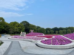 -上海鲜花港