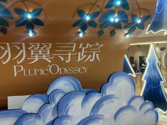 -上海世纪汇广场