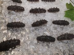 -上和臻品中国菜(花园街店)