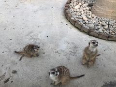 -呀路古热带植物园