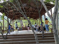 -大岭沟猕猴桃谷风景区