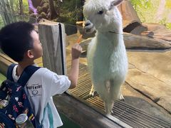 -苏州海洋馆