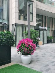 -FINE HAIR造型沙龙