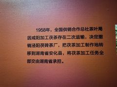 -茯茶镇