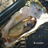 阳光海岸都係值得去的旅游小岛