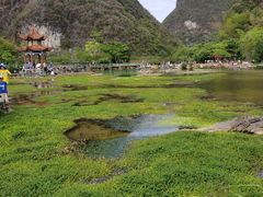 -靖西鹅泉风景区