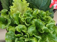 -炉队长·齐齐哈尔家庭烤肉(马家堡店)