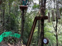 -衢州大荫山丛林飞越探险乐园