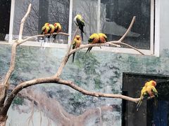 -无锡动物园·太湖欢乐园