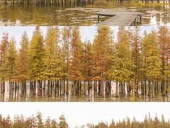 -白鹭湾湿地公园