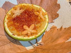 -天水蔬食料理(树德之光店)