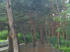 -帽儿山国家森林公园