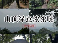 -火炉山森林公园