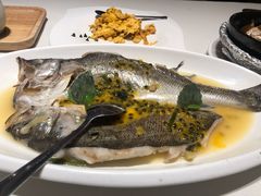清蒸海鲈鱼-觅唐MITONG(鸟巢店)