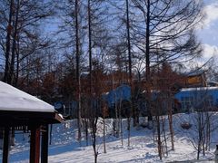 -横道河子东北虎林园