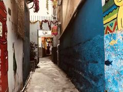 -猫咪博物馆(顶澳仔猫街店)