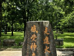 -海口火山口国家地质公园