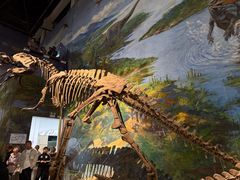 -自贡恐龙博物馆