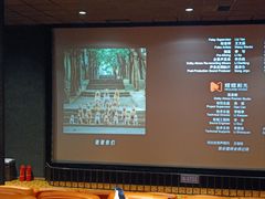 -华美国际影城(旧宫永辉店)