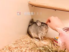 -龙猫仔乐园(惠福东路店)