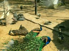 -石家庄市动物园