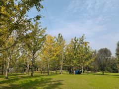 -思念果岭悦温泉