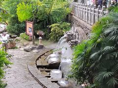 -蝴蝶泉公园