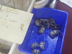 -七的湖·江南蟹舫·阳澄湖农家菜(蟹舫苑店)