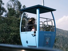 -野象谷景区
