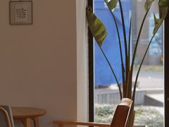 -猫里有甜