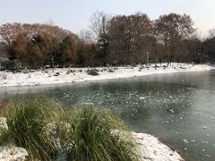 景点-解放公园