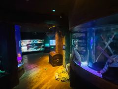 -沈阳海洋探索中心