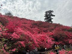 -木兰云雾山