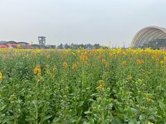 -中国天府农业博览园